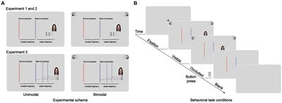 Auditory affective content facilitates time-to-contact estimation of visual affective targets